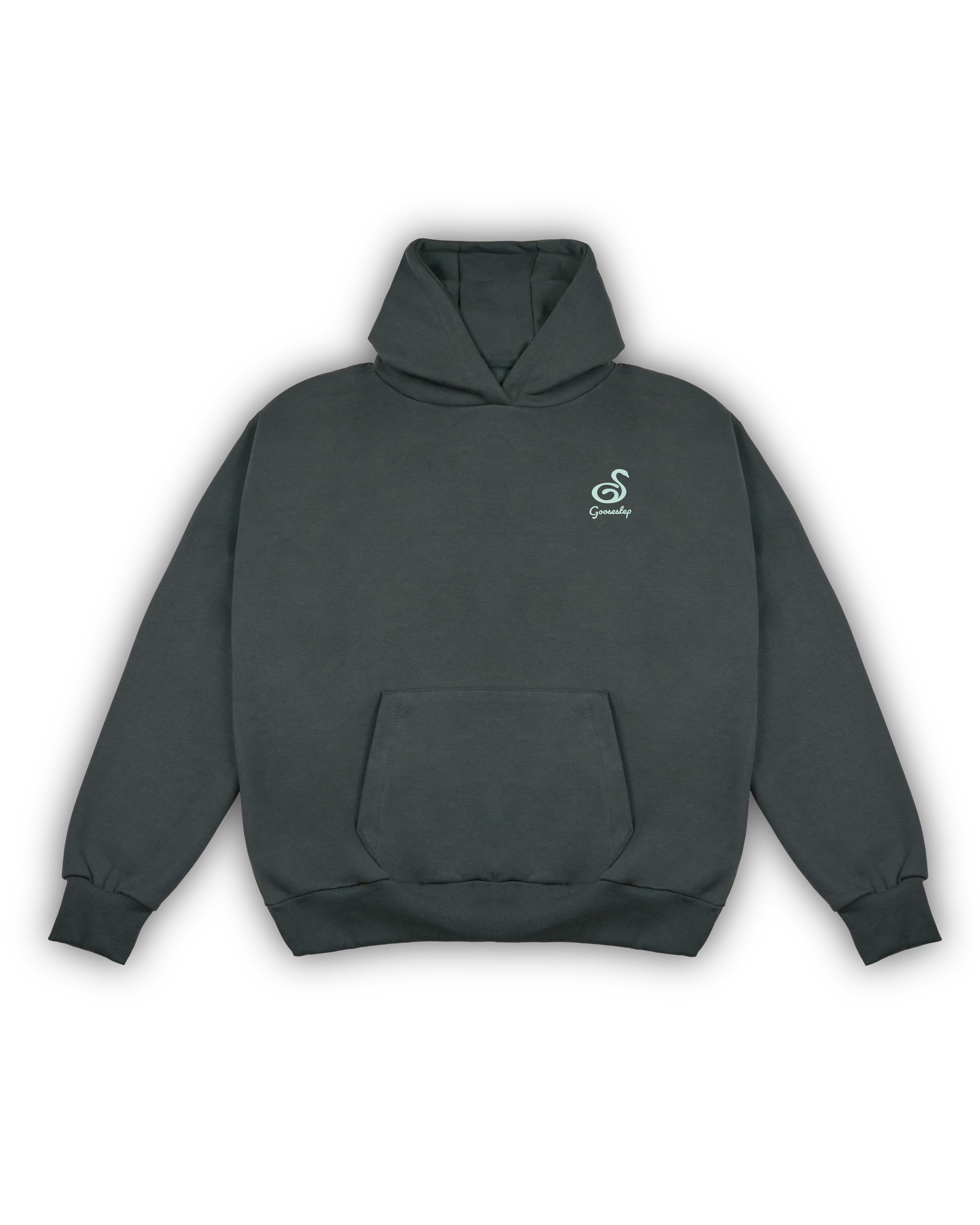 Charcoal+Aloe Hoodie
